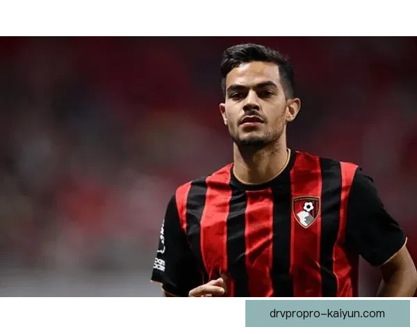 英超火热布莱顿状态回暖，近期表现稳健引关注